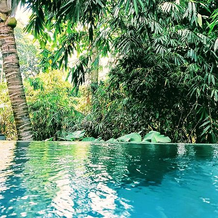 Ngesil Private Joglo & Pool Hotel Ubud  Bagian luar foto
