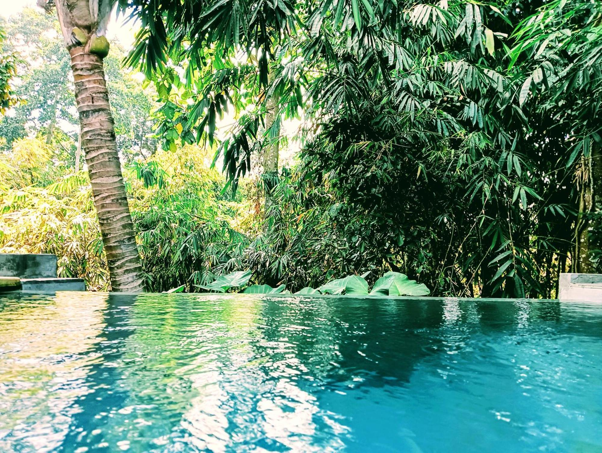 Ngesil Private Joglo & Pool Hotel Ubud  Bagian luar foto